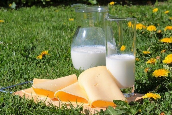 I bambini dovrebbero ricevere latte e formaggio (foto: Pixabay.com) 