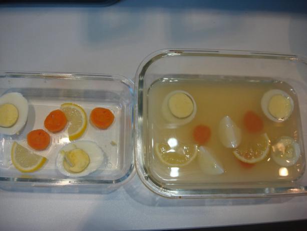 Foto scattata dall'autore (Inviato limone, uova e carote, brodo allagate) 