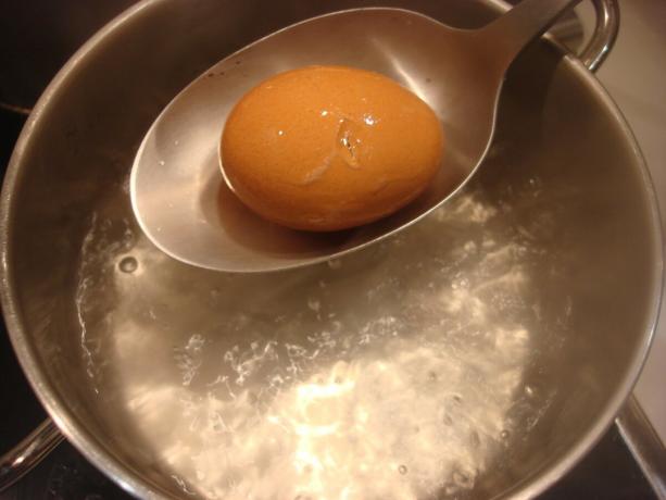 Foto scattata dall'autore (immergere l'uovo in teglia unta)