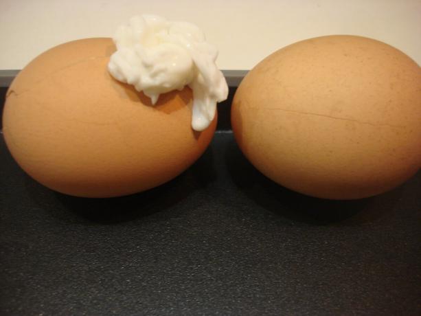Foto scattata dall'autore (a sinistra uovo semplicemente rotto, uovo destra unta limone)
