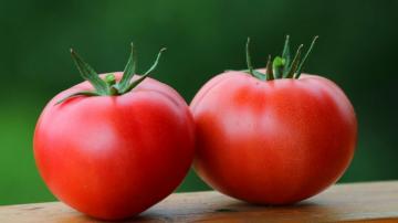 Pomodori: fluidificare il sangue, ipertensione, diabete cura, e anche l'oncologia