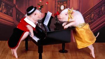 E ora... Pig! Festeggia Capodanno 2019 Giallo Pig!