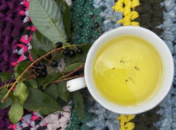 Tisana profumata di tè della uccello-ciliegia antibatterico Cheremuhovo