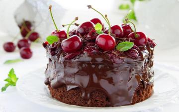 Splendida la torta di cioccolato: 3 ricette