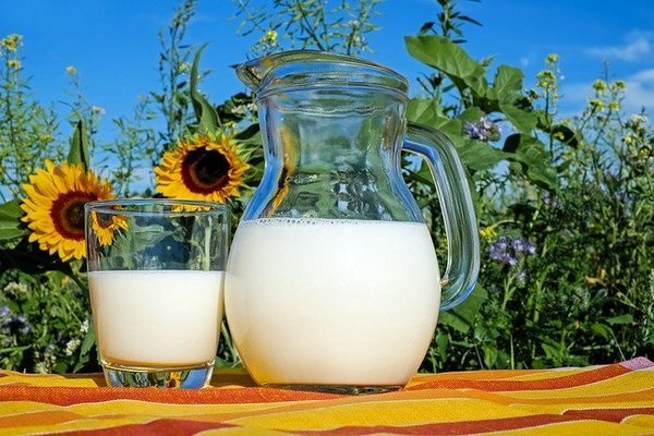 Meglio comprare il latte da fattorie private (Foto: pixabay.com)