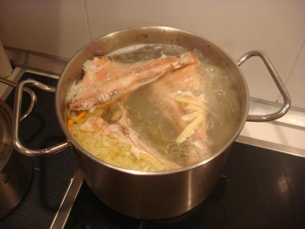 Foto scattata dall'autore (i pesci aggiuntivo, patate, cipolle e carote nella minestra)