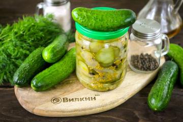 Insalata di cetrioli in scatola per l'inverno