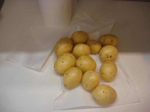 Foto scattata dall'autore (patate lavate, di scorrimento a destra)