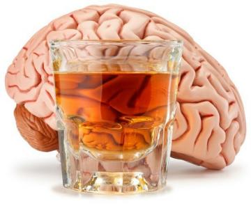 L'alcol continuerà a distruggere il cervello anche 1,5 mesi dopo aver smesso