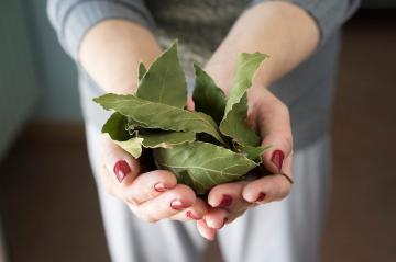 Il rapido declino degli zuccheri nel sangue: rimedi popolari