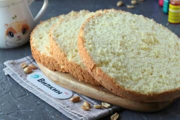 Pan di Spagna per torta