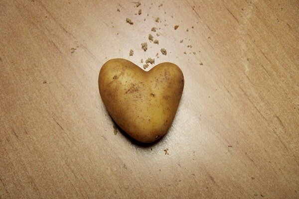 Le patate aiuteranno con le malattie cardiache (Foto: Pixabay.com)