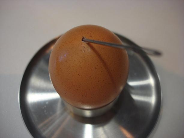 Foto dell'autore (uovo trafitto con un ago, scorrere a destra)
