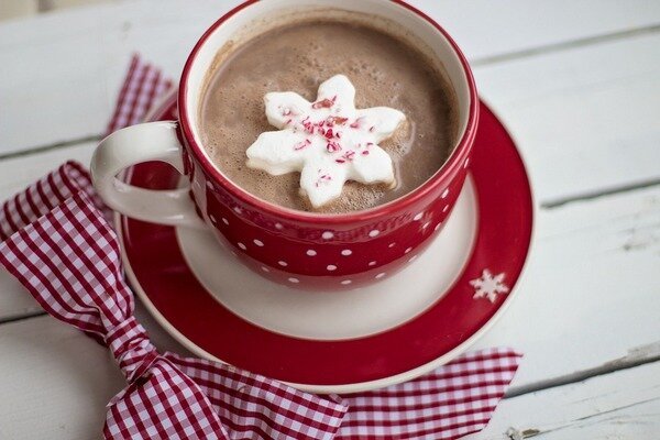 Non aggiungere zucchero al cacao per evitare di guadagnare chili in più. (Foto: Pixabay.com)
