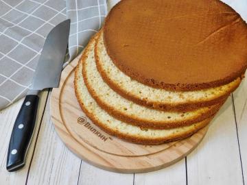 Biscotto lussureggiante per torta