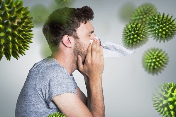 Aumentando l'immunità, ti proteggi da molte malattie (Foto: benefitsuses.com)