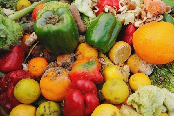 La frutta e la verdura marce non sono la scelta migliore per la cucitura. (Foto: nycfoodpolicy.org)