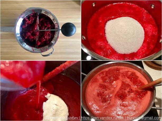 Processo di preparazione di un inceppamento liquido di uva spina e ribes rosso