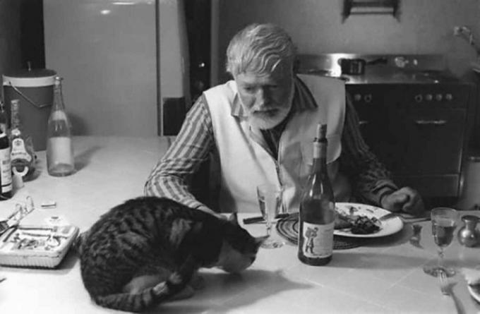 Ernest Hemingway ha la cena con il gatto.
