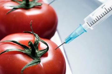 10 cibi OGM che mangiamo e che nemmeno conosciamo