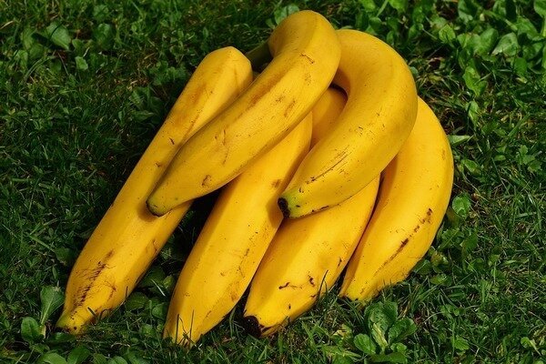 Le banane possono essere aggiunte ai frullati mattutini. (Foto: Pixabay.com)